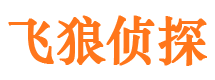 桃城外遇调查取证